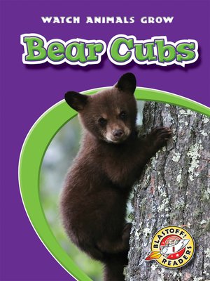 cover image of Bear Cubs